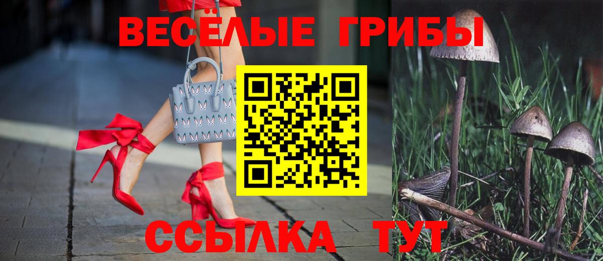 Галлюциногенные грибы мицелий  Псилоцибиновые грибы мицелий  Вход с VPN  Октябрьский 